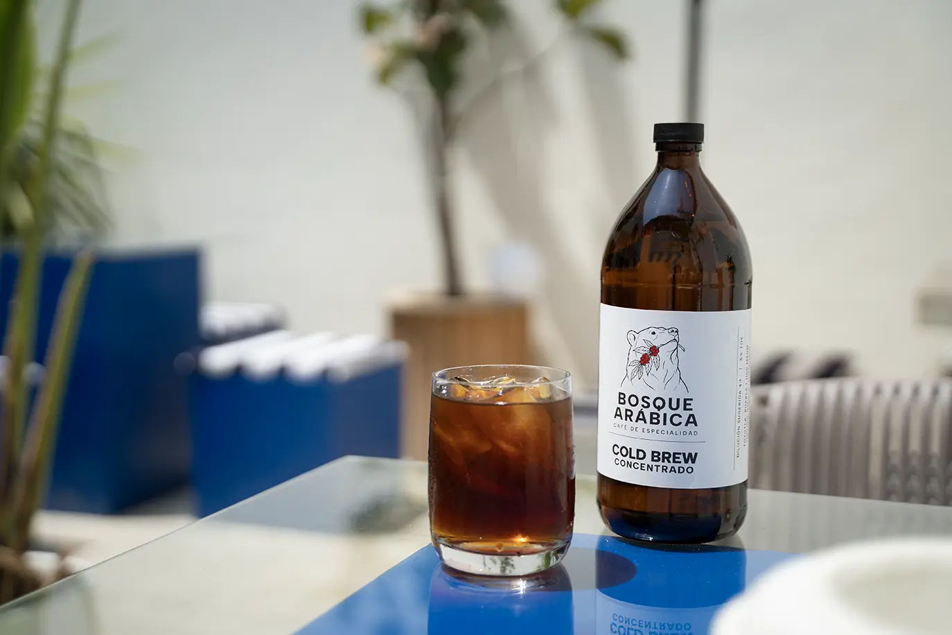 Concentrado cold brew al mayoreo en Guadalajara, listo para servir